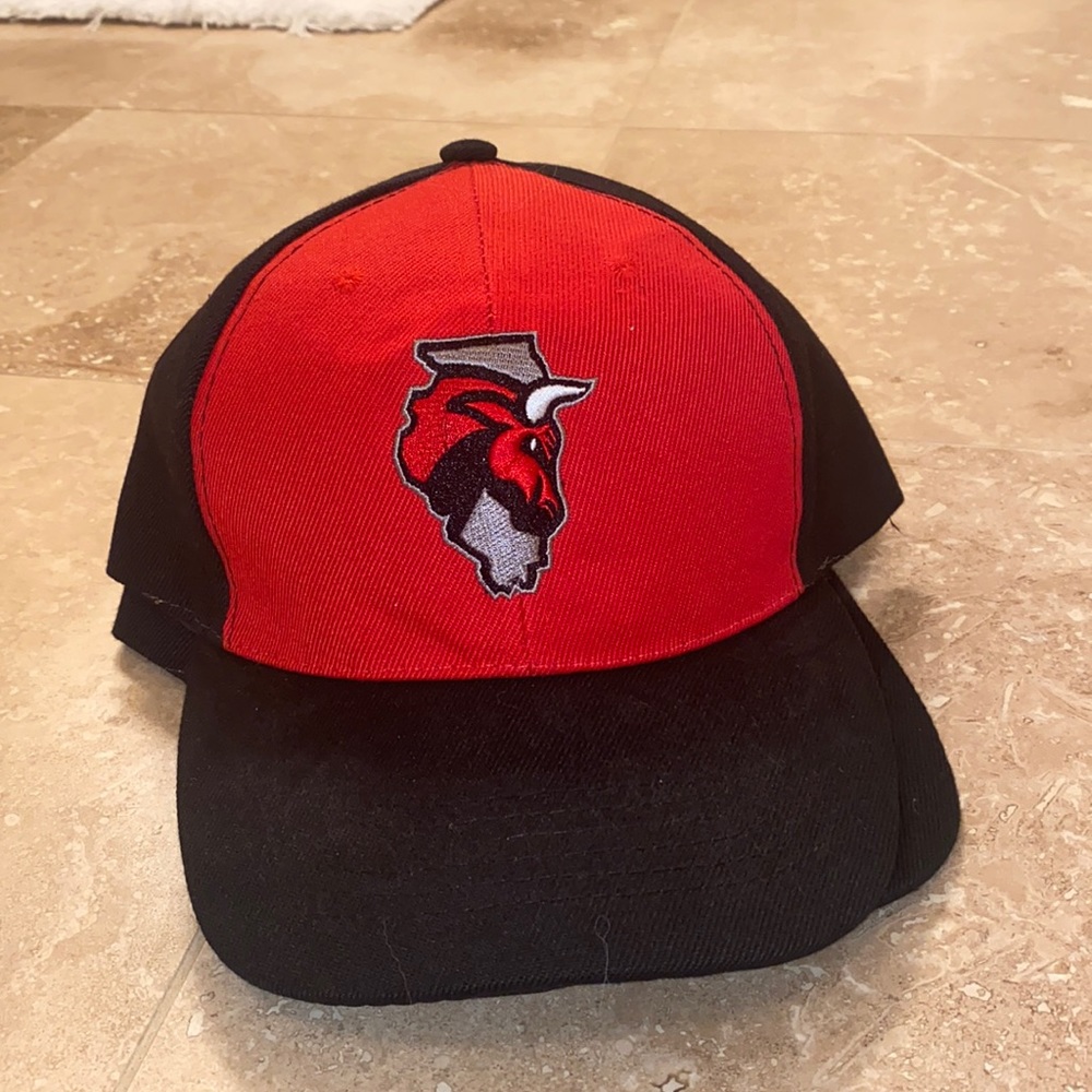 Windy City Bulls Flat Cap